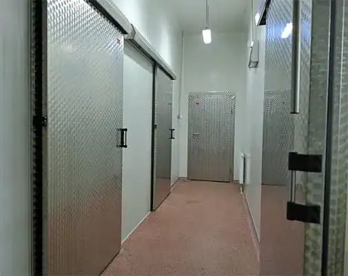 Pasillo con puerta corredera de servicio en acero inoxidable, ideal para entornos exigentes.
